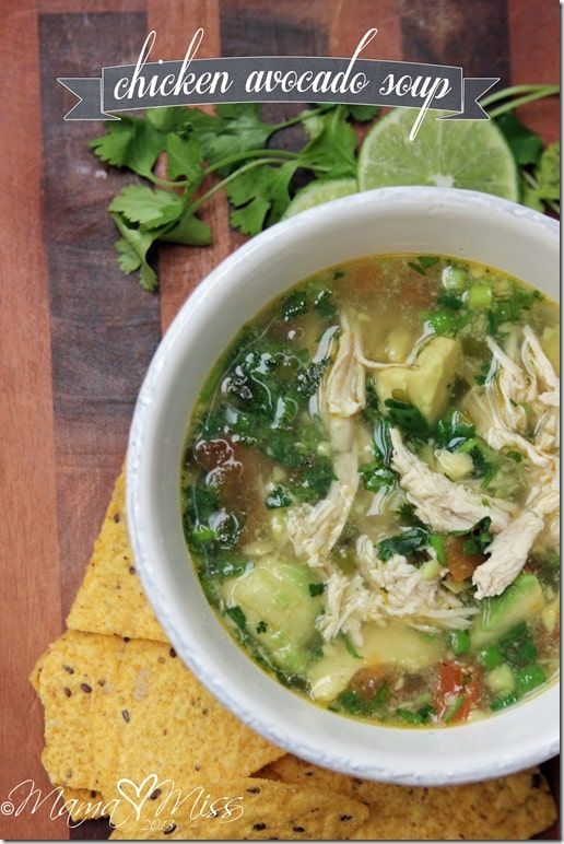 No Processed Carbs and Limited Dairy Meal Plan: Chicken Avocado Soup