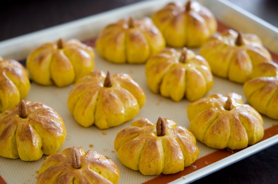 friendsgiving menu pumpkin dinner rolls for friendsgiving