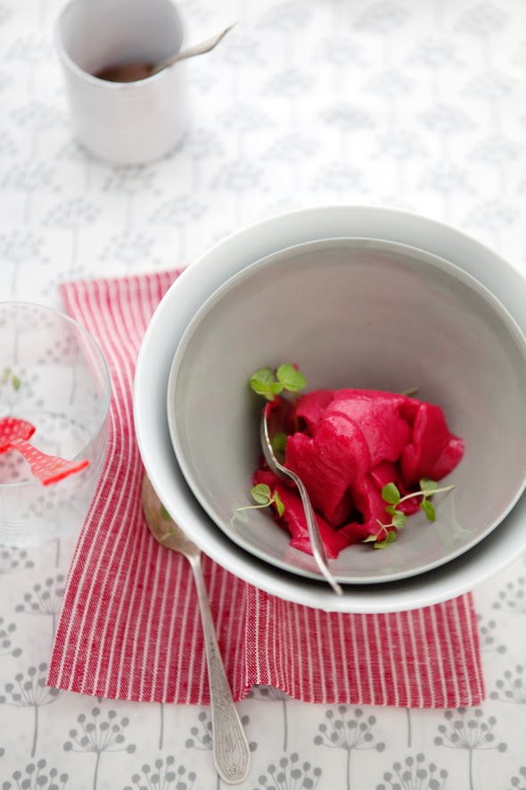 Cranberry Citrus Sorbet