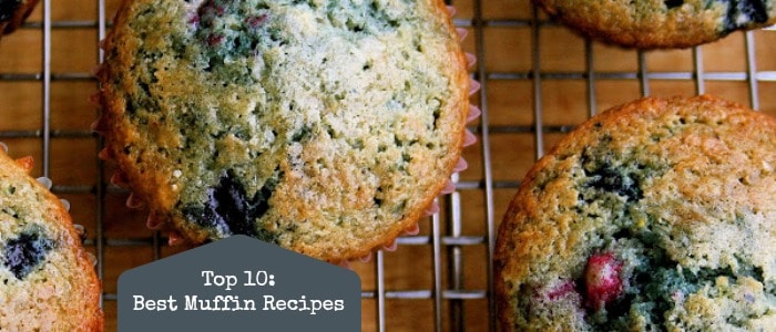 best muffin recipe ever