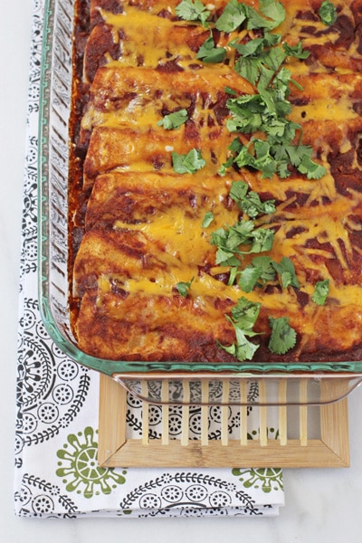 Enchilada Recipes : chicken, black bean and vegetable enchiladas