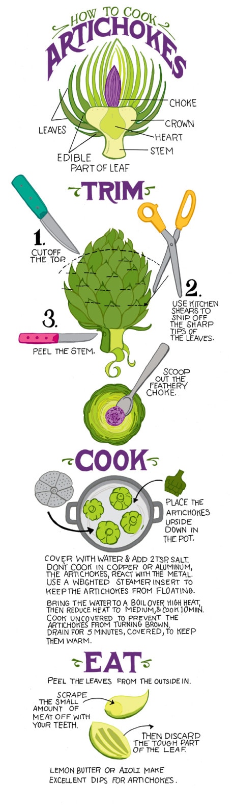 Artichoke Recipes : How to cook Artichokes