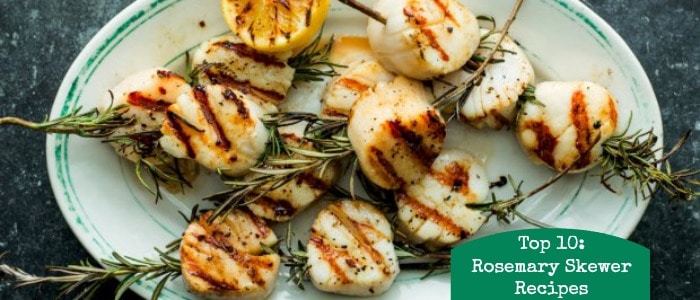 Rosemary-Skewered Scallops Recipe - Food Republic