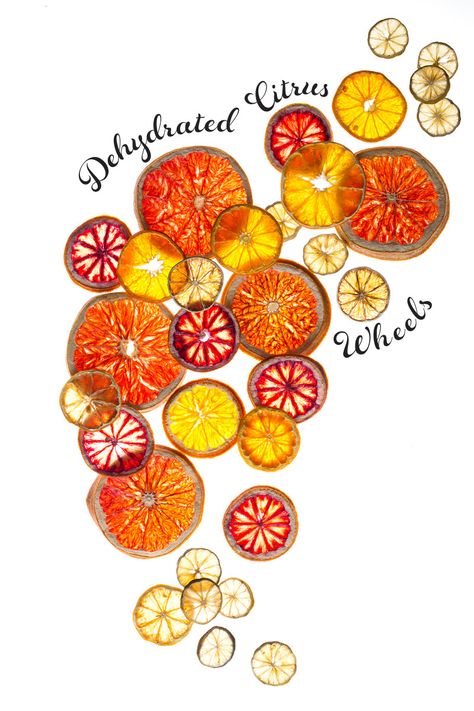 dehydrated citrus wheels | 20 Amazing Citrus Recipes on Rainbow Delicious