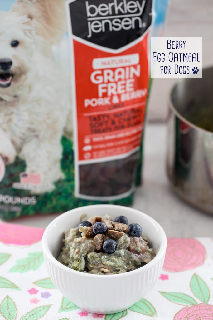 Dog Oatmeal | unique oatmeal recipes