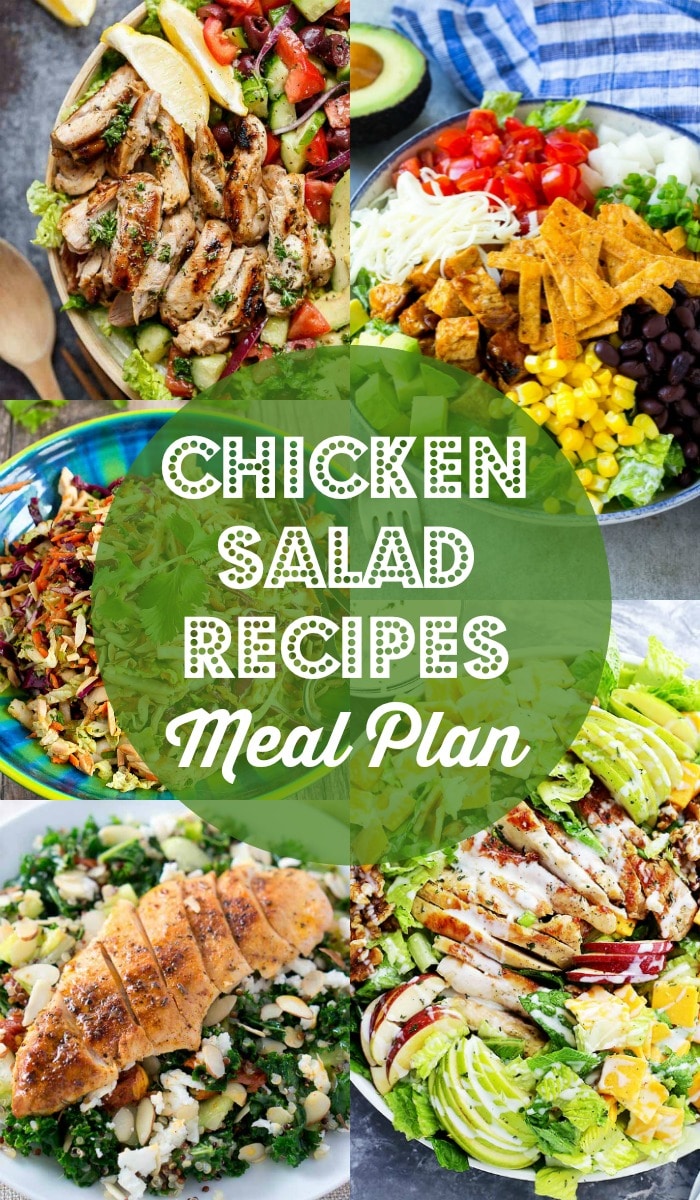 Chicken Salad Recipes - Lemon Herb Mediterranean Salad