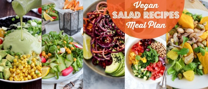 Vegan Salad Recipes Meal Plan on Rainbow Delicious