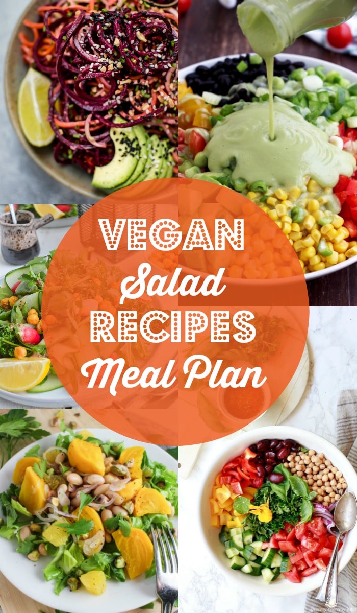 Vegan Salad Recipes Meal Plan