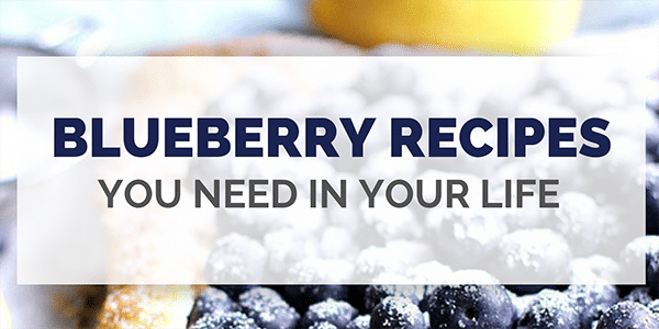 blueberry recipes