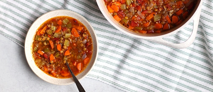 the best vegetable and lentil soup