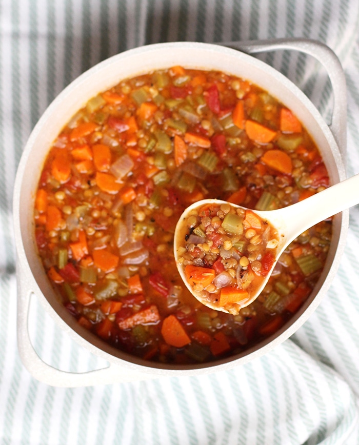 Rainbow Delicious vegetable lentil soup