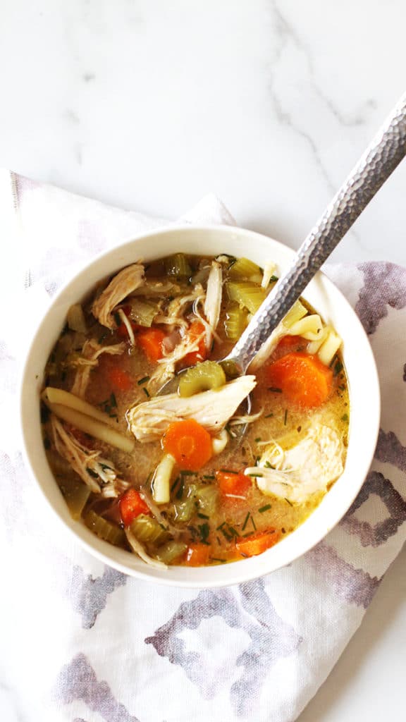 slow cooker chicken noodle soup Rainbow Delicious
